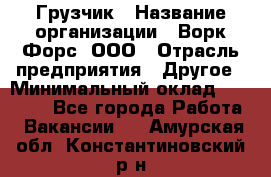 Грузчик › Название организации ­ Ворк Форс, ООО › Отрасль предприятия ­ Другое › Минимальный оклад ­ 24 000 - Все города Работа » Вакансии   . Амурская обл.,Константиновский р-н